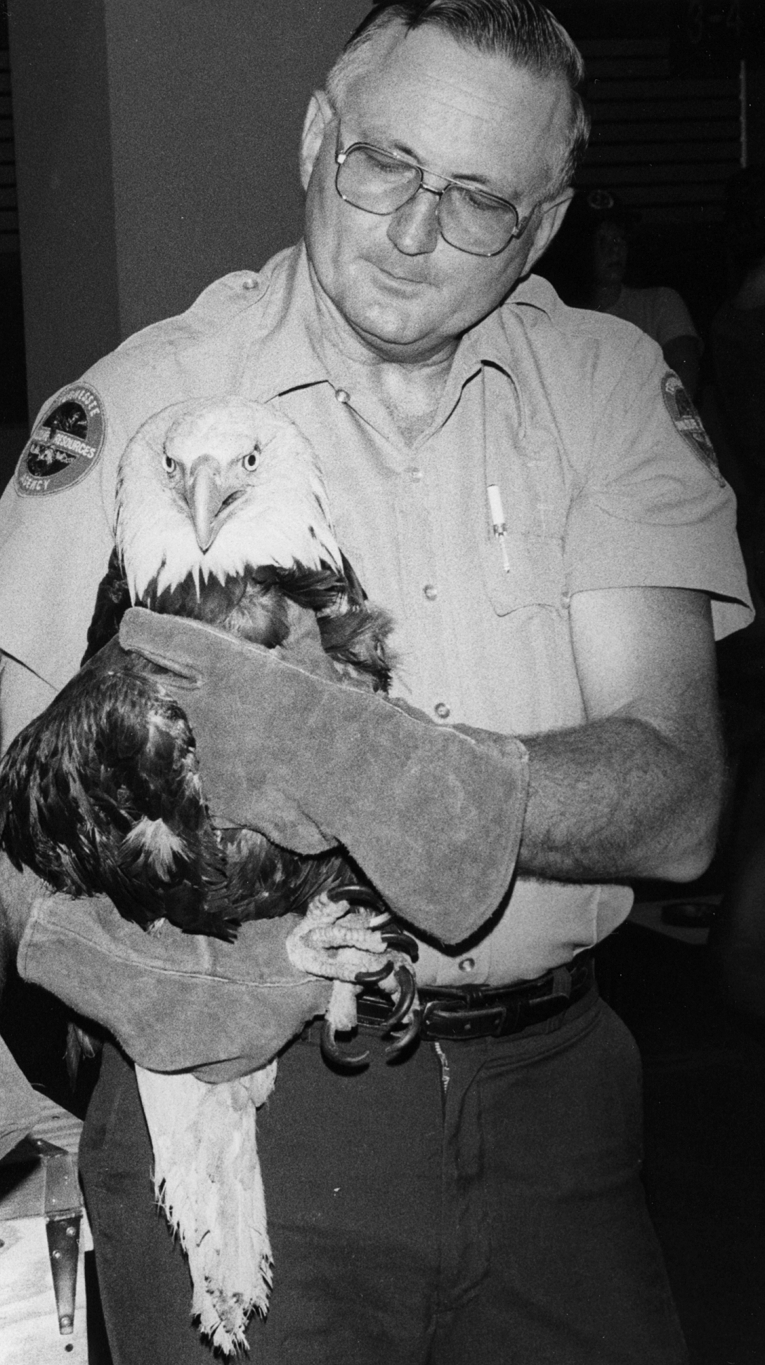 eagles_bob_hatcher_Cropped.jpg
