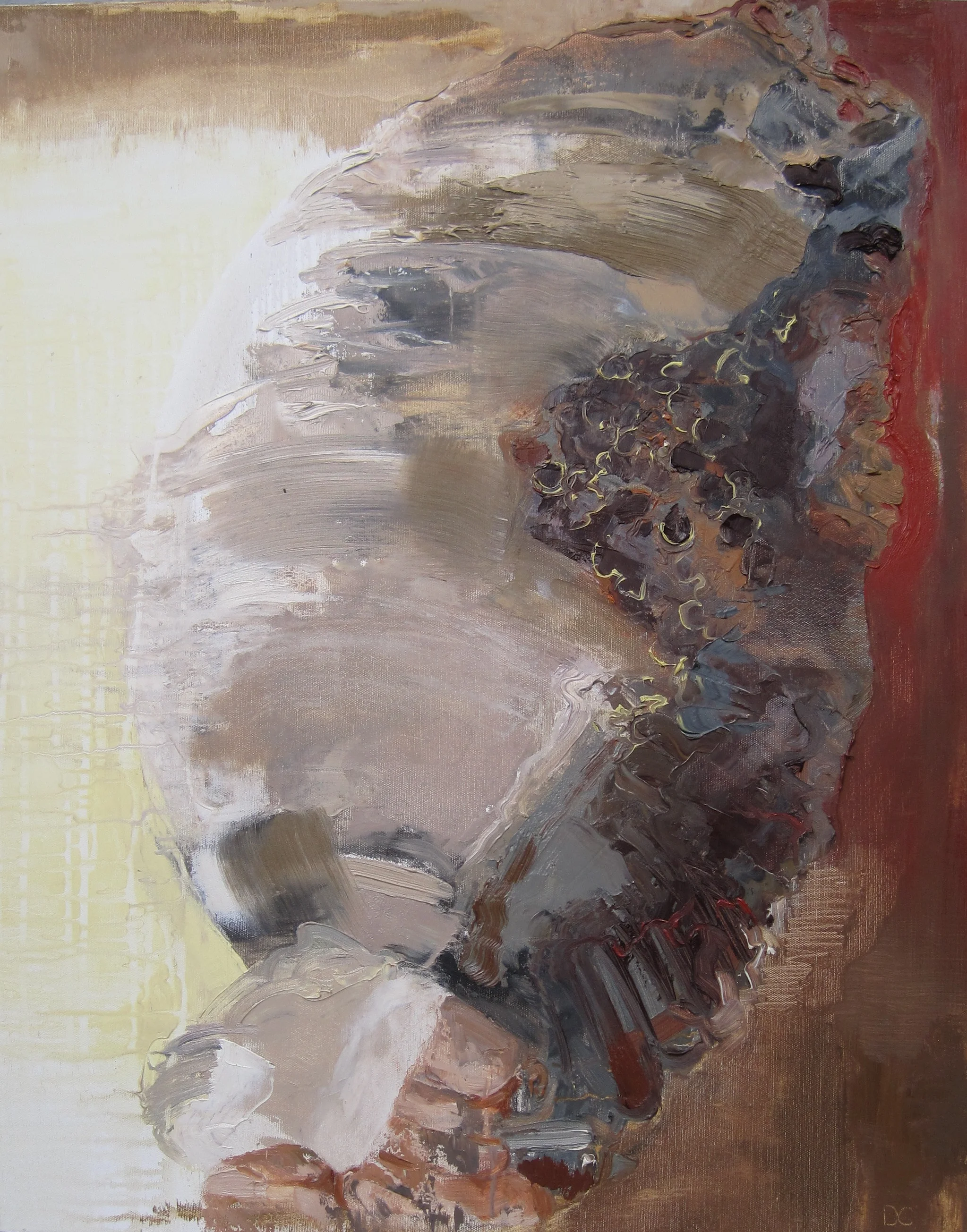 Swarm 30" x 24" 2010