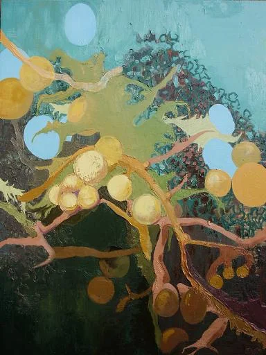 Kelp Clove 40" x 30" 2007