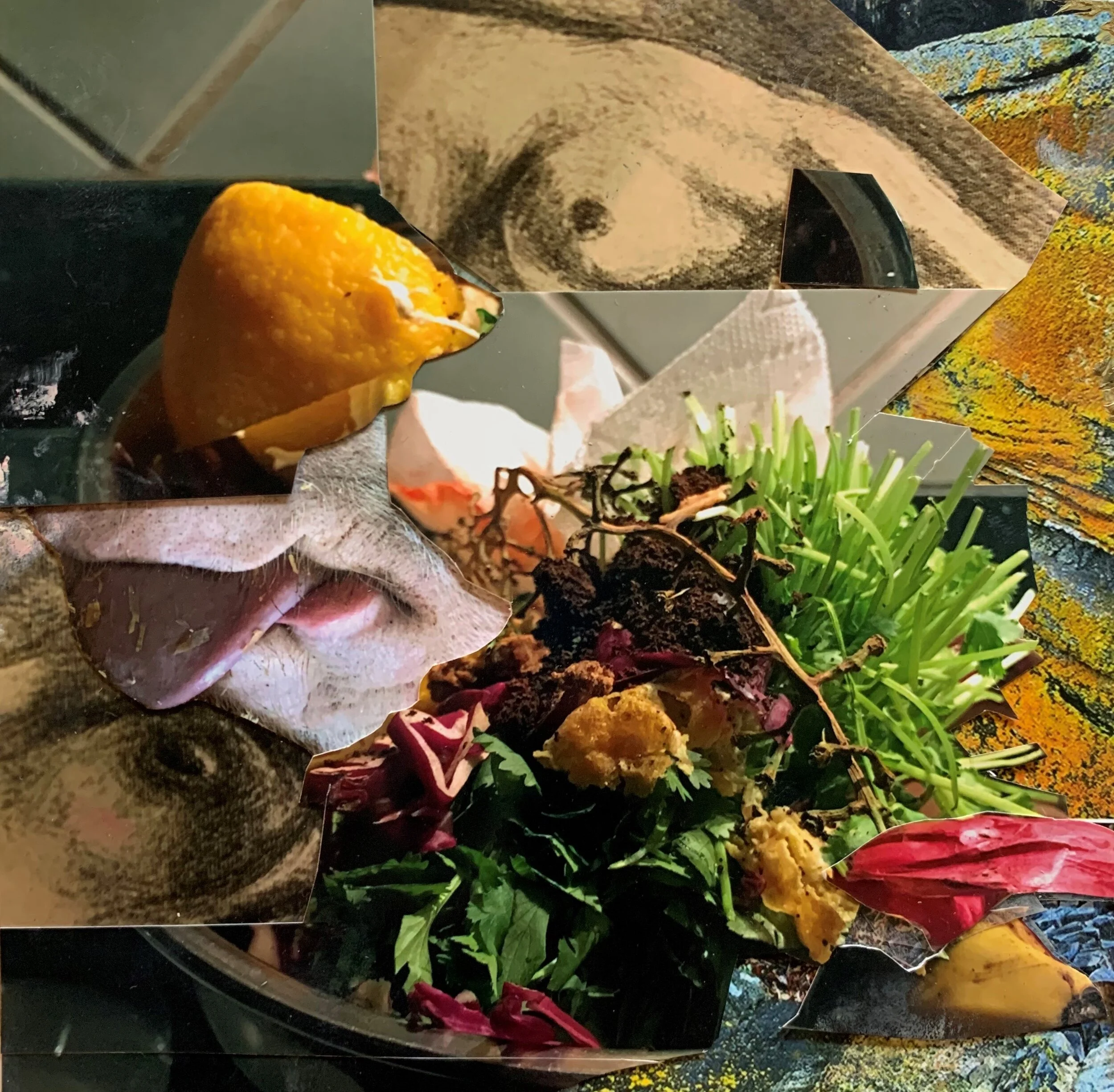 Life Zest 5 1/2" x 5 3/4" 2019