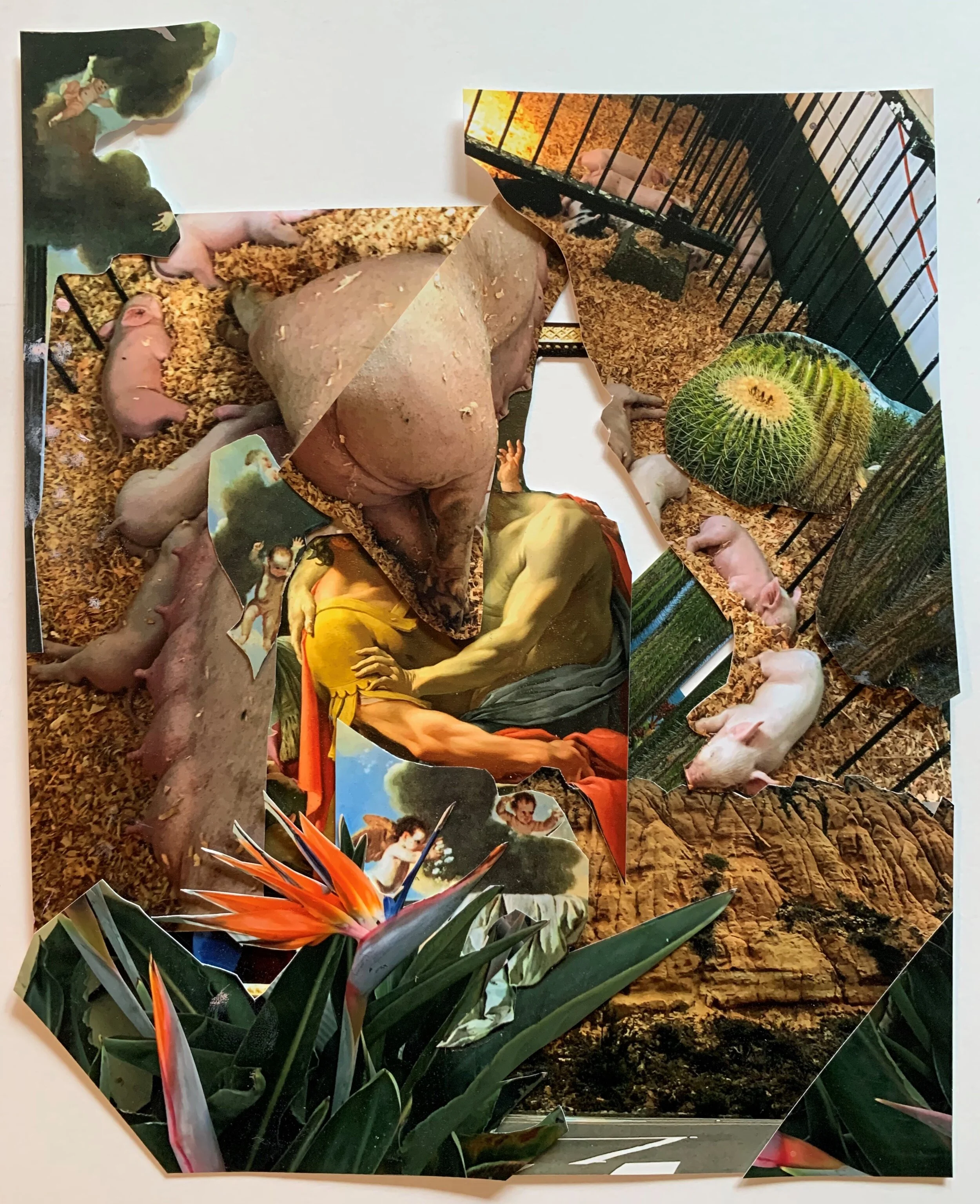 Full Feature 9 1/2" x 7 1/2" 2019