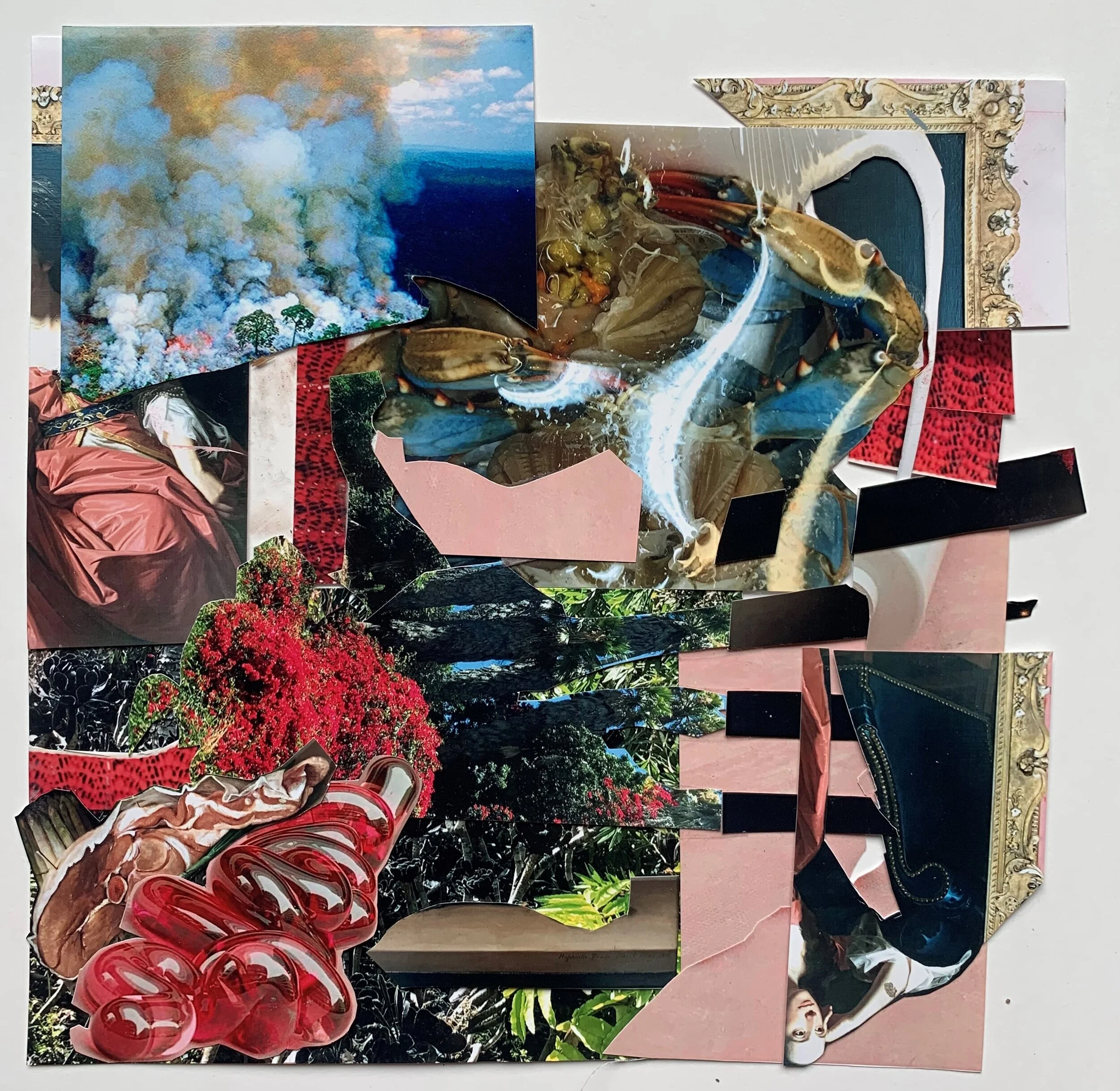 Lucius Juice 9" x 8 1/2" 2019