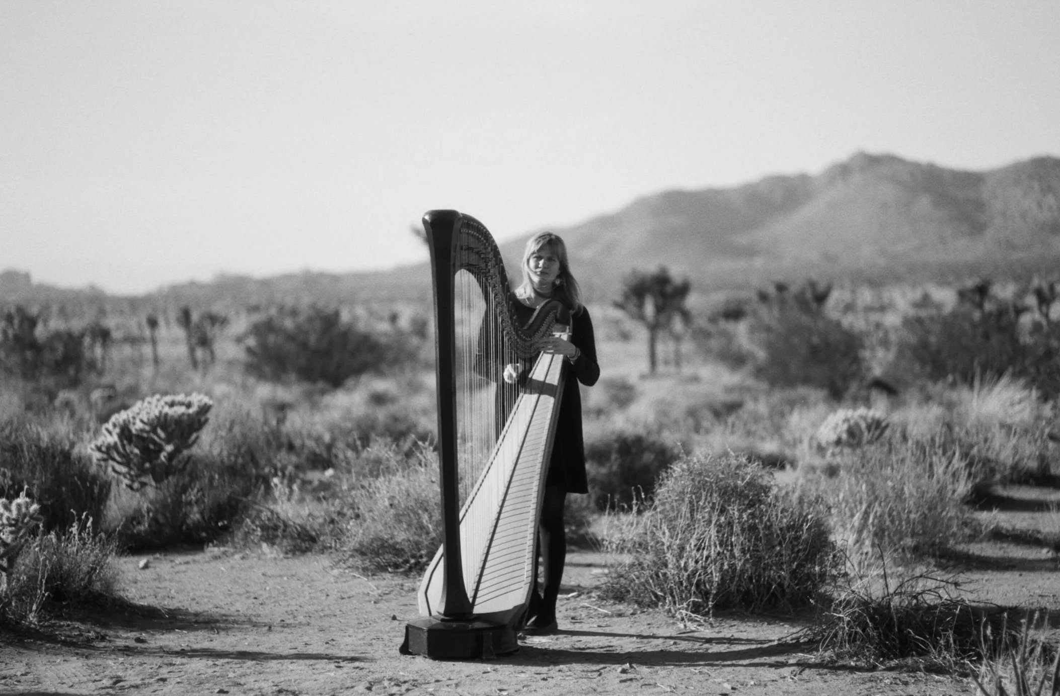    The New Yorker: The Seismic Emotion of Mary Lattimore's Harp Music   