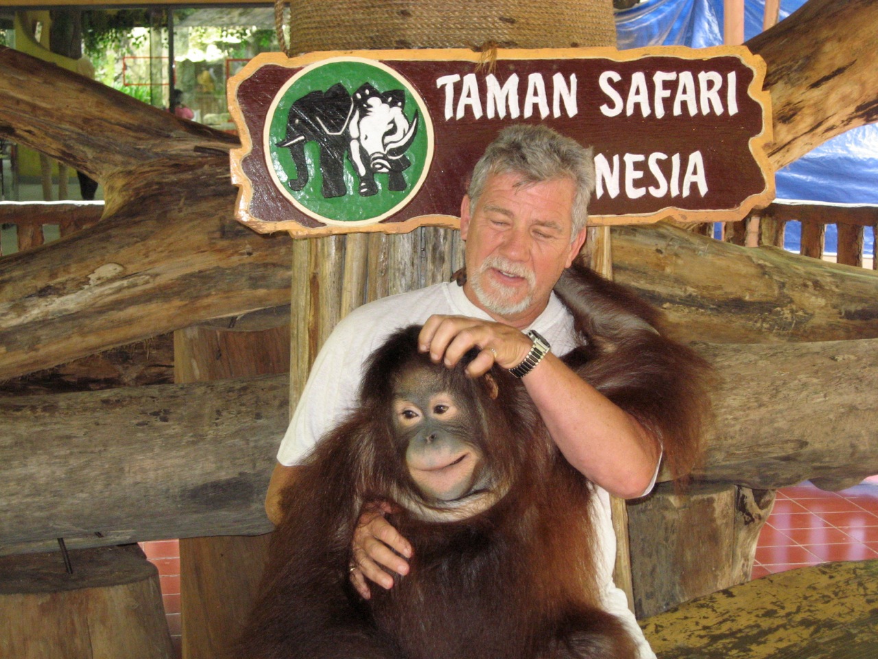 Difference Between Monkeys and Apes - Taman Safari Bali