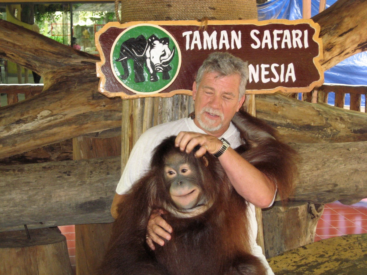 Taman Safari (Safari Park) in Bogor, West Java, Indonesia