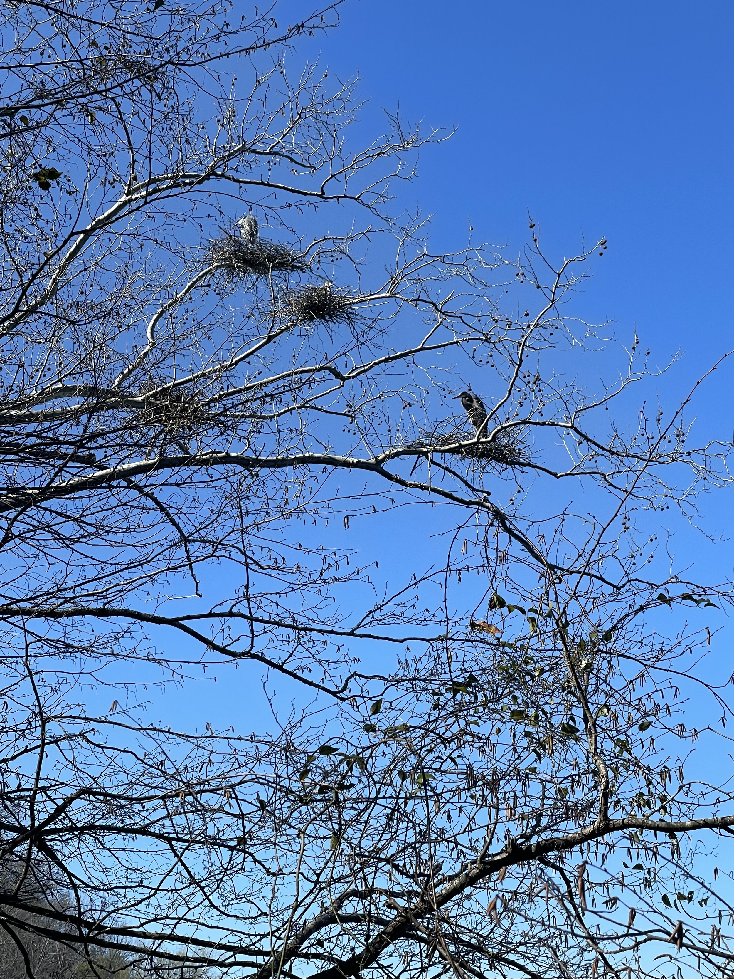 IMG_4005.jpeg
