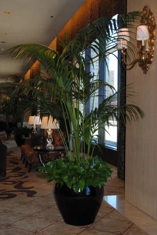 New_Interior Foliage - Promenade with Elegance.jpg
