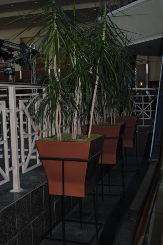 New_Interior Planters - Unique Designs.jpg