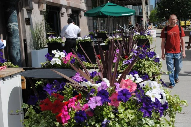 New_Exterior Chicago Michigan Avenue Cafe.jpg