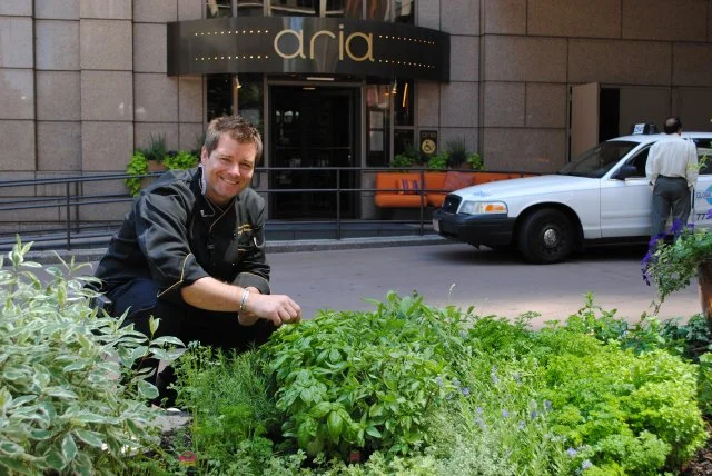 New_Exterior Garden - Chef Chad selecting herbs from herb garden planted by Amlings.jpg