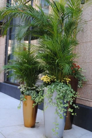 New_Exterior Planters - Colorful Trio.jpg
