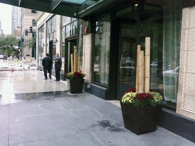 New_Exterior Planters with Bamboo Cane and fall mums.jpg