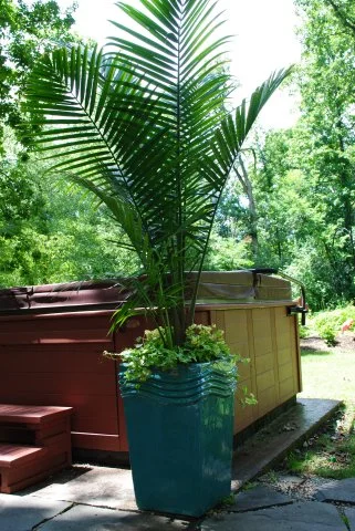 New_Exterior Residential Planters & Foliage - Well maintained gardens are inviting.jpg