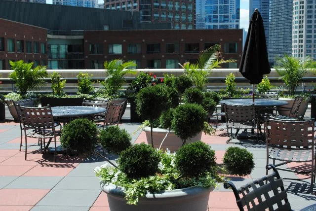 New_Exterior Roof Top Gardens Unique.jpg