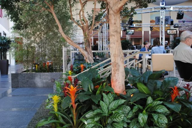 New_Interior Atrium - Blooming Plants.jpg