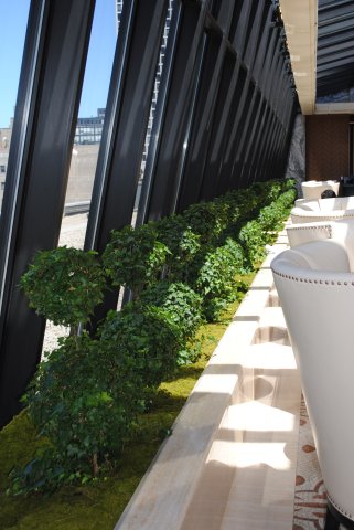 New_Interior Atrium Planter - 2 Ball Ivy Topiary.jpg