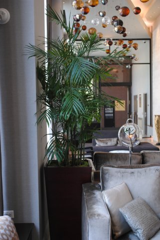 New_Interior Bamboo planter - sustainable and attractive!.jpg