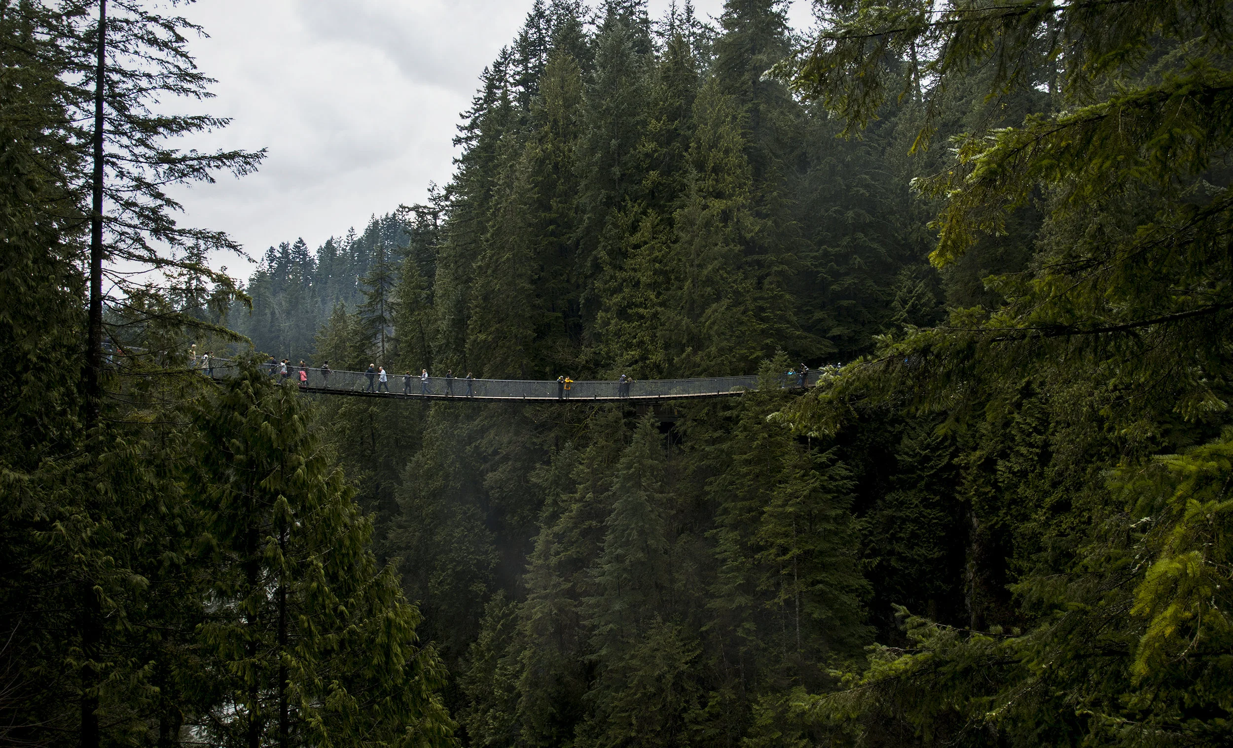 capilanoBridge.jpg