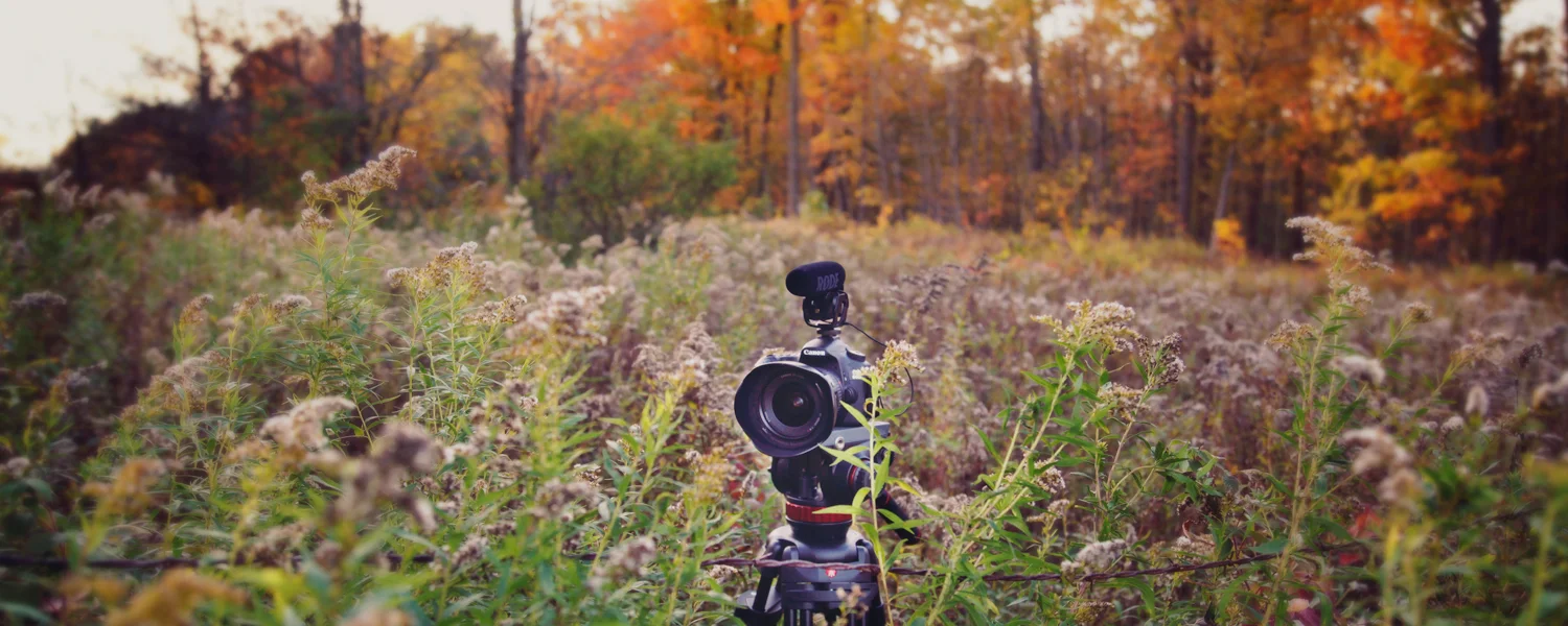 On_Location_Banner.jpg