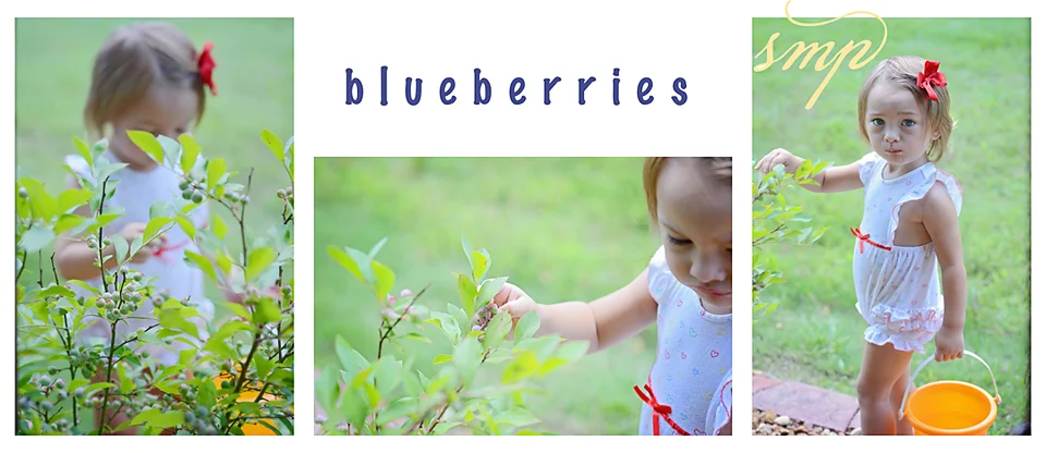 blueberries copy.jpg