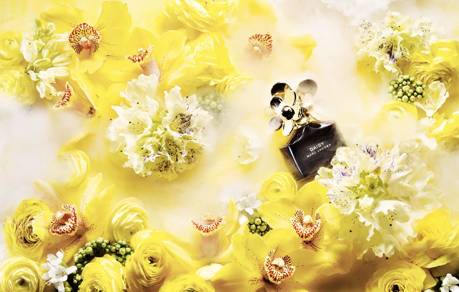 MarcJacobs_Daisy_01a.jpg