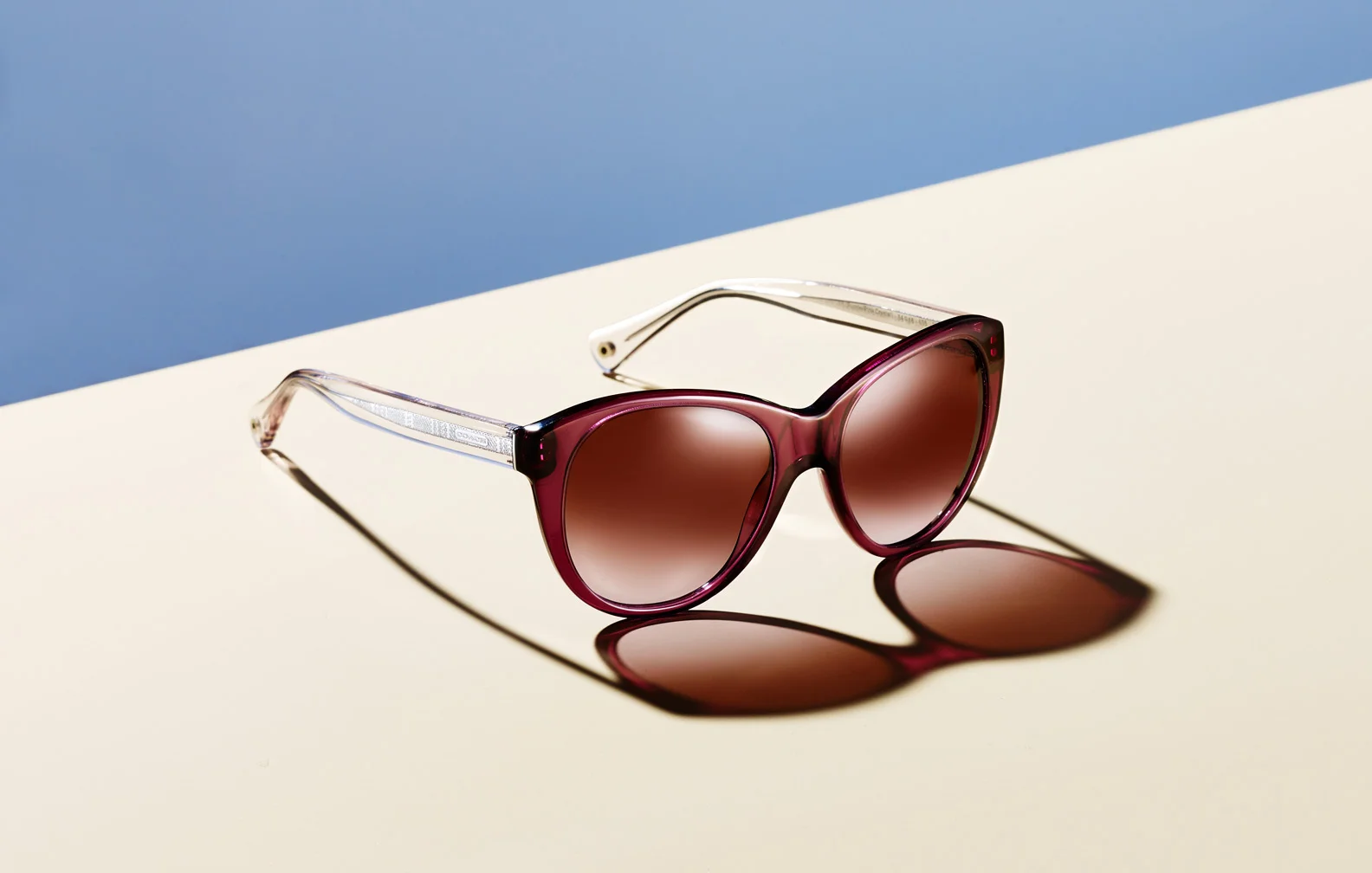 Coach_Sunglasses.jpg