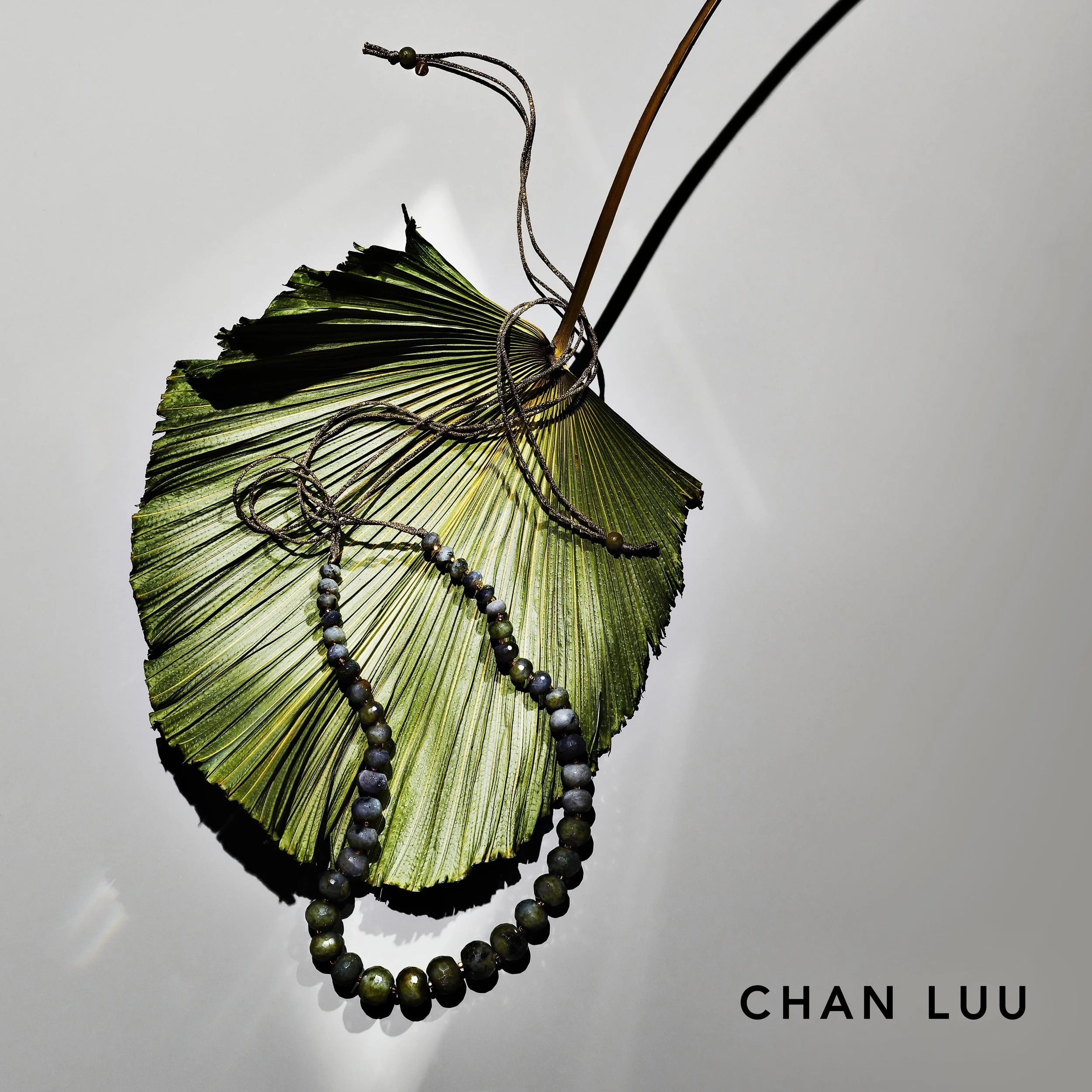 ChanLuu_01_232.jpg