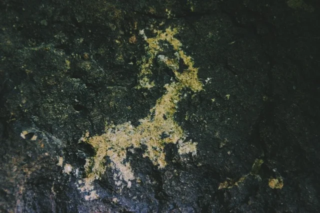 A petroglyph on the trail