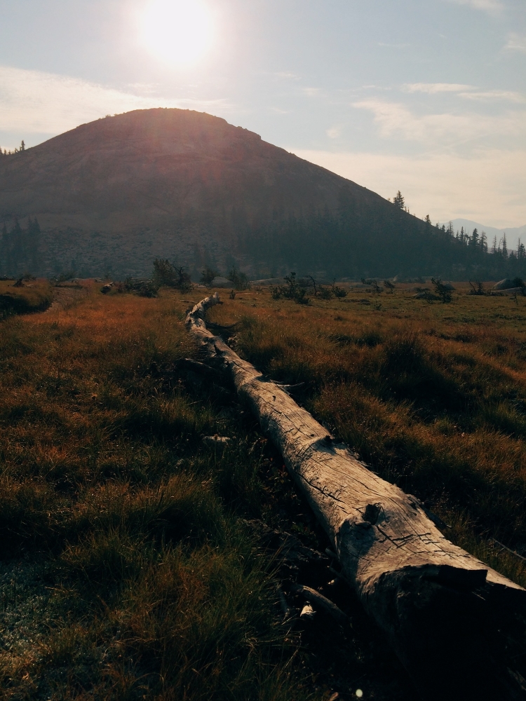  Sunrise at Sunrise Lakes meadow. 