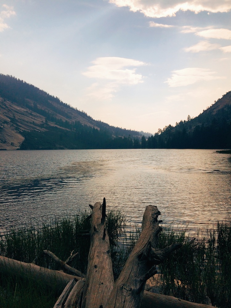  On the shore of Merced Lake, looking the other way. 