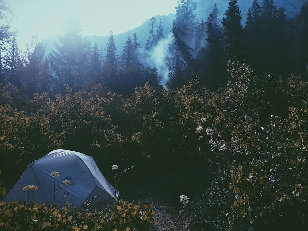  We camped at Onion Valley Campground (elev. 9,200 ft.) after an absence of over 10 years. We found the best site -- hike-in site 24.&nbsp; 