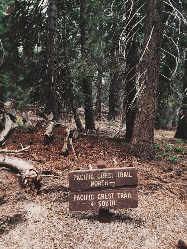  The Pacific Crest Trail runs more than 2,600 miles from Mexico to Canada. 