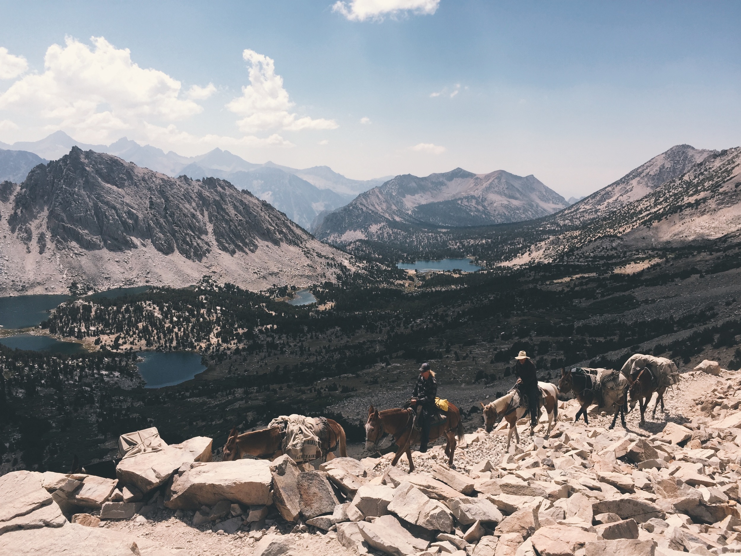  A mule train coming up Kearsarge Pass from Kings Canyon National Park. 
