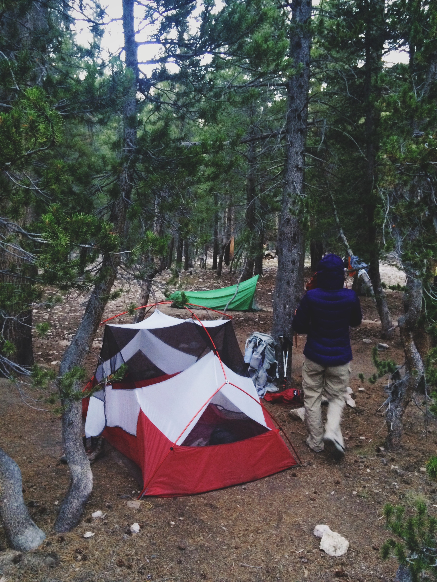  Day 15: camped at Lower Vidette Meadow. 