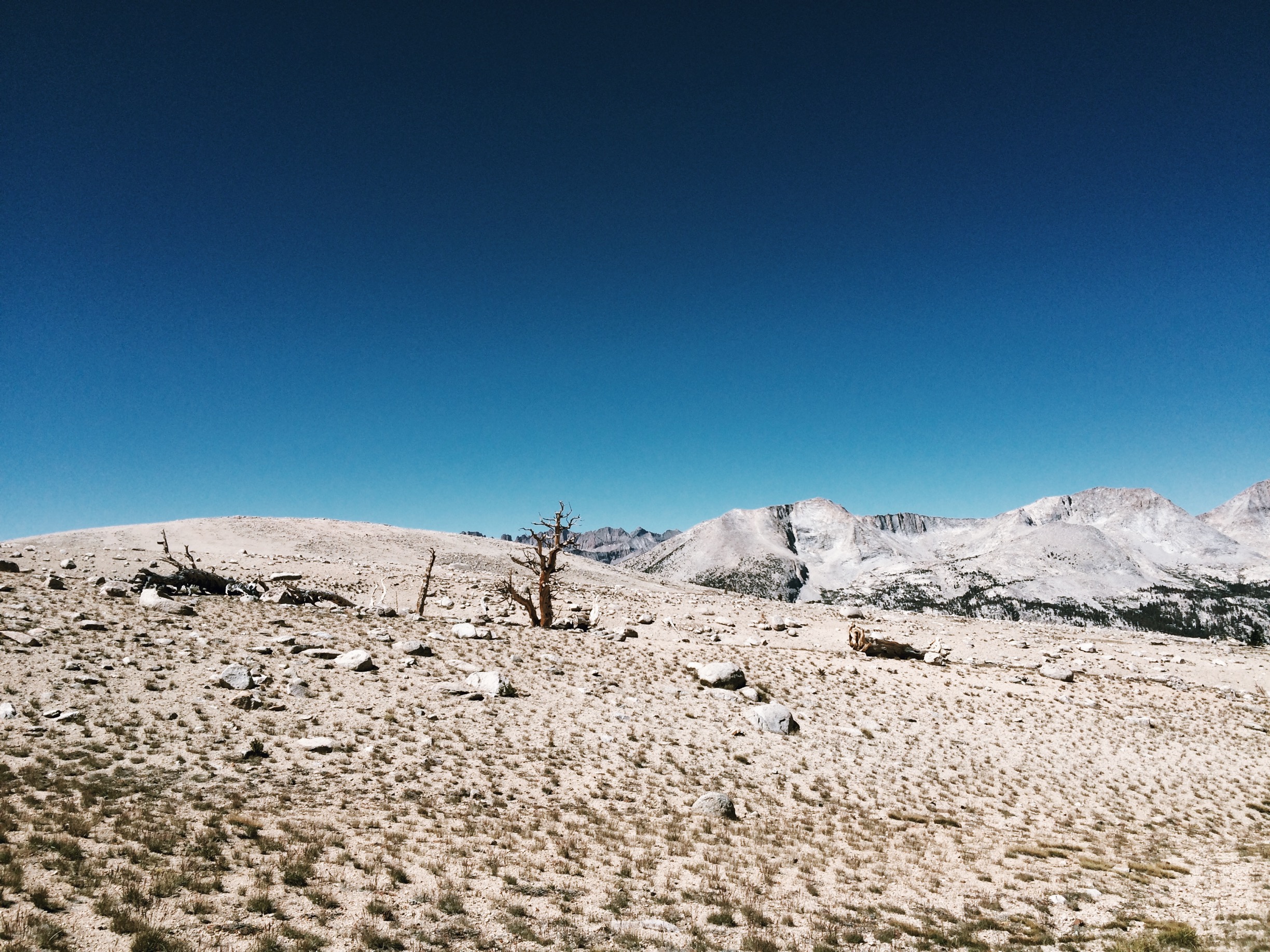  Bighorn Plateau. 