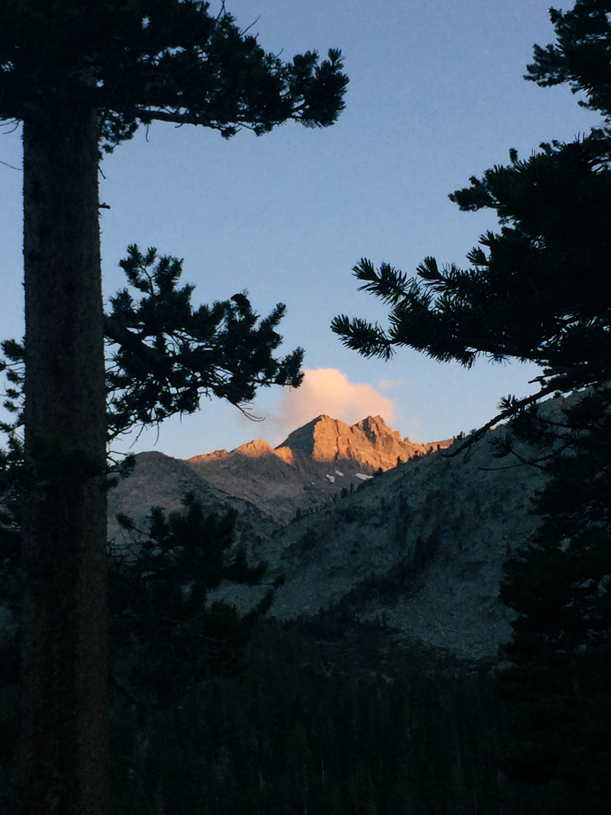  First night's alpenglow. 