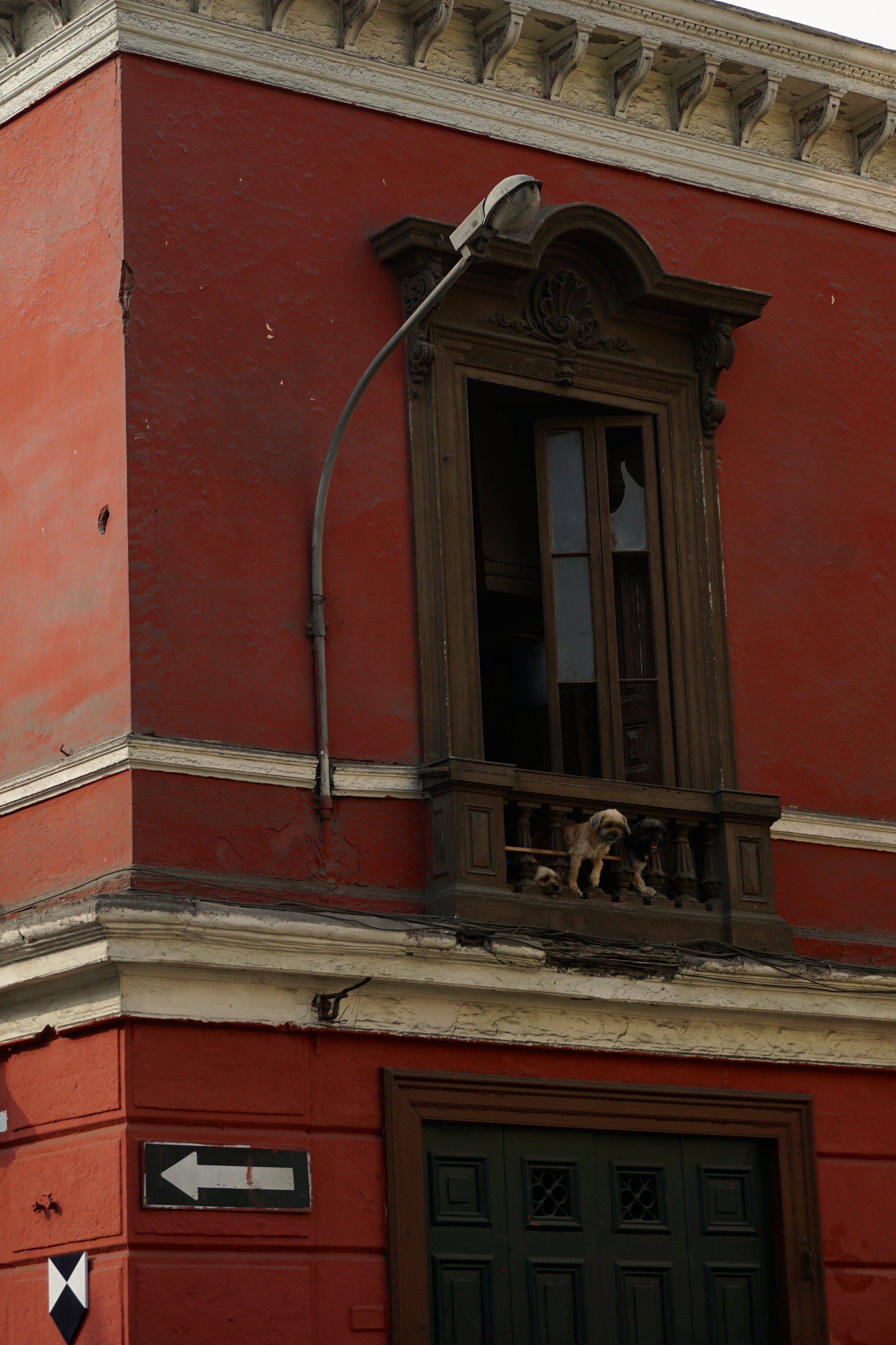  Three dogs in a balcony in Lima's historic core.&nbsp; 
