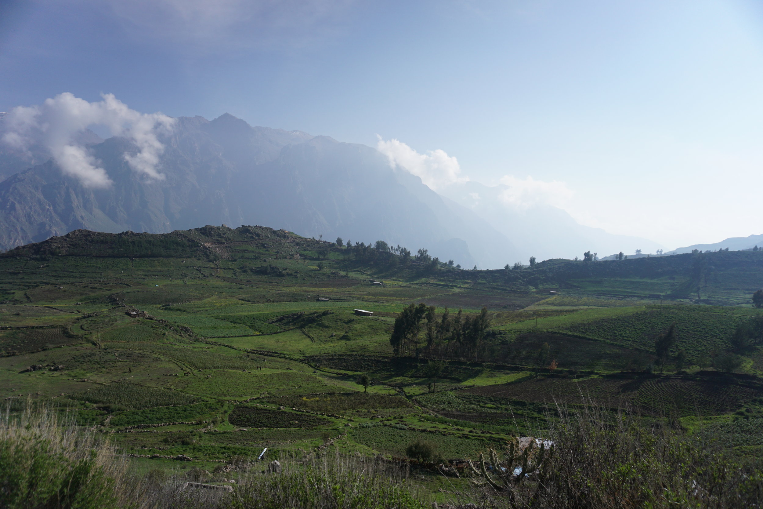  Another pastoral scene in Colca Valley 