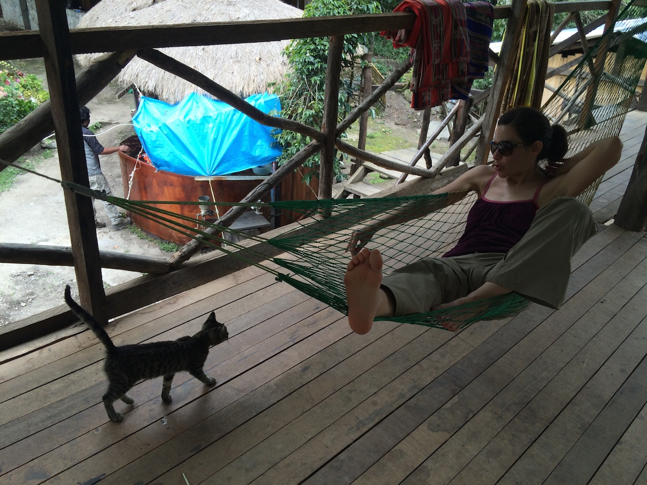  Lunch on day 4 was in a resort-like space complete with hammocks,&nbsp;very cute cats and excellent shade-grown coffee. We had our best cup of coffee in Peru here.&nbsp; 