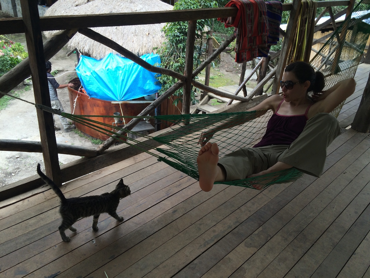 Lunch on day 4 was in a resort-like space complete with hammocks, very cute cats and excellent shade-grown coffee. We had our best cup of coffee in Peru here. 