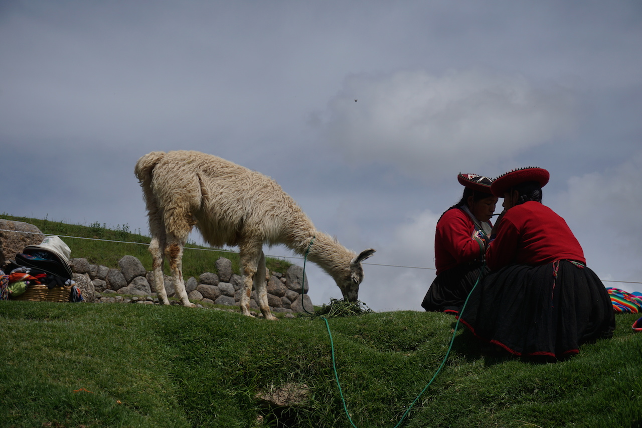  Sacsayhuaman 