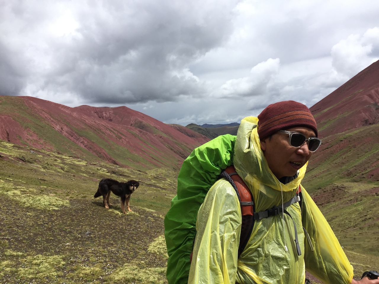  We encountered this dog, who joined us for part of the hike. 