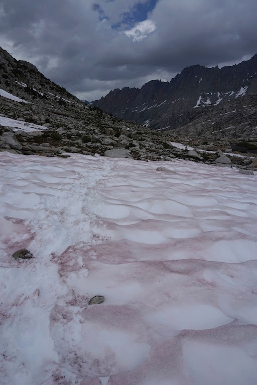  Suncups and "watermelon snow," which is caused by algae. 