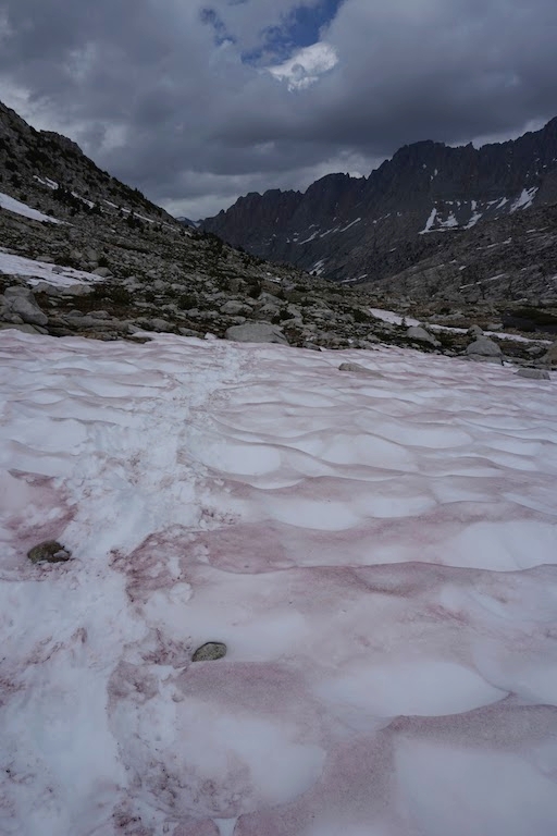 Suncups and "watermelon snow," which is caused by algae.