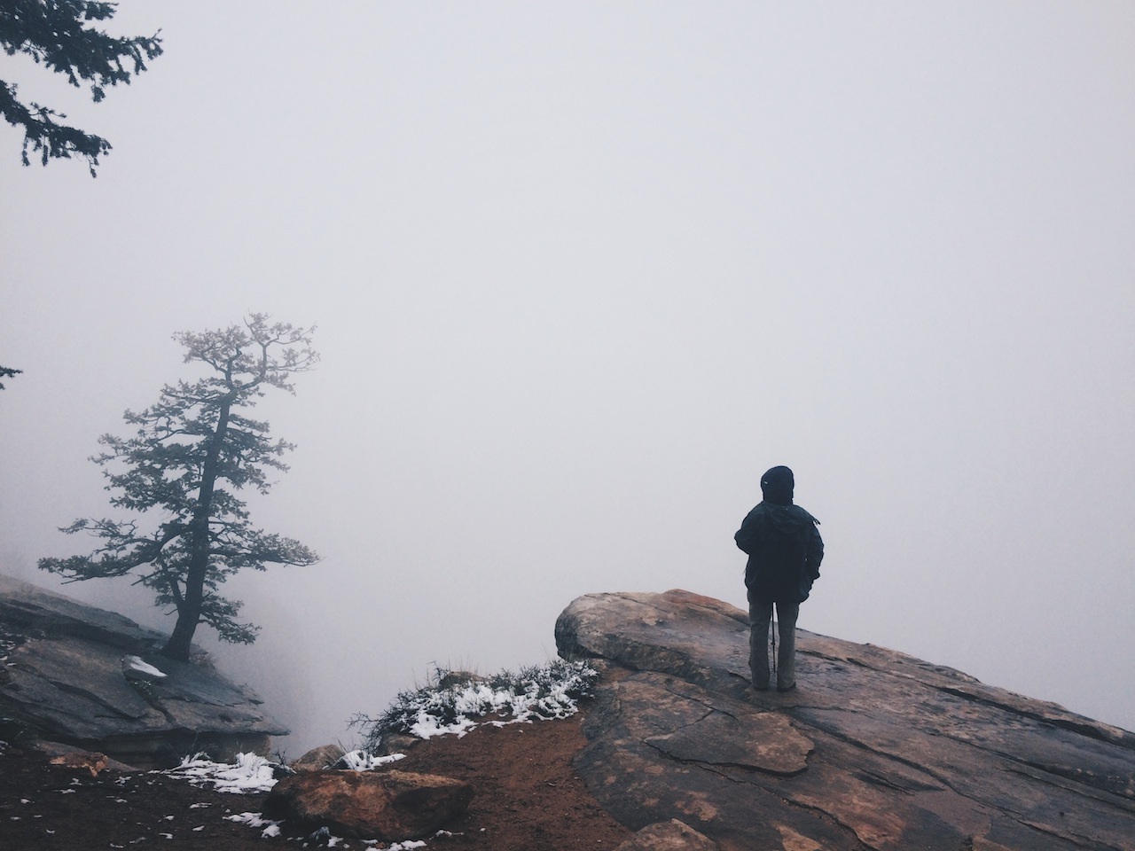  Where's the view? A drop-off along the North Kaibab Trail. 