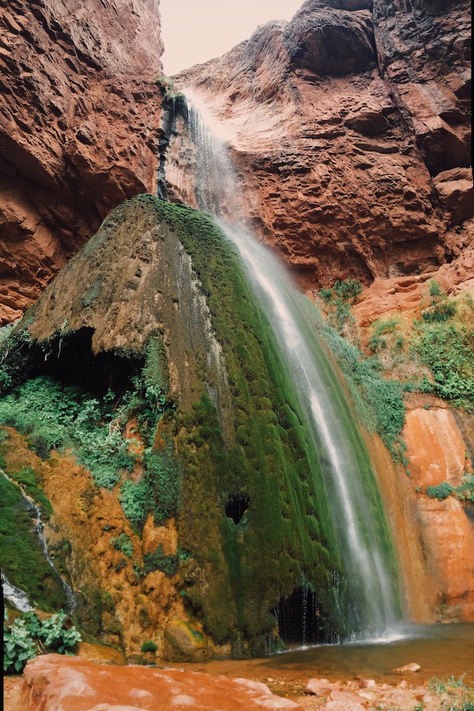 The oasis of Ribbon Falls