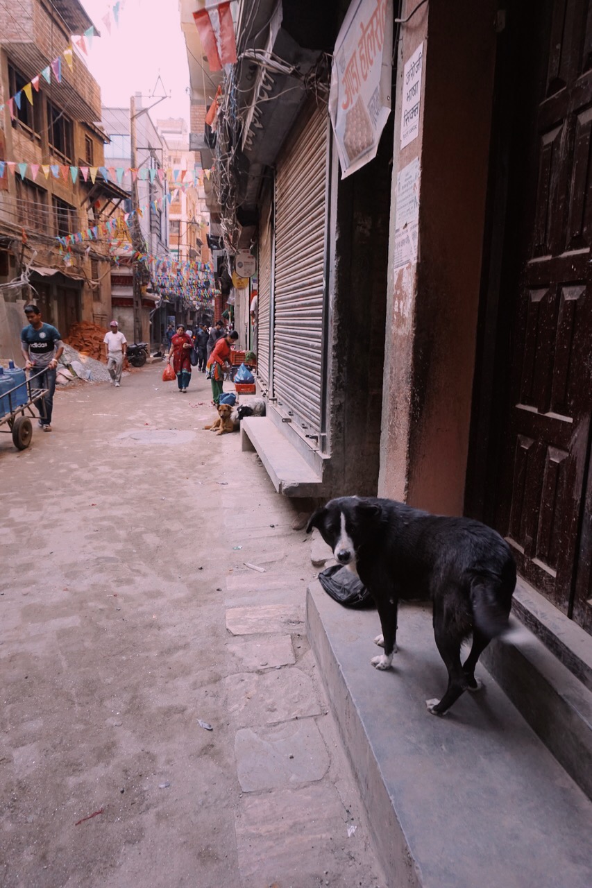  Alleyway, Kathmandu 