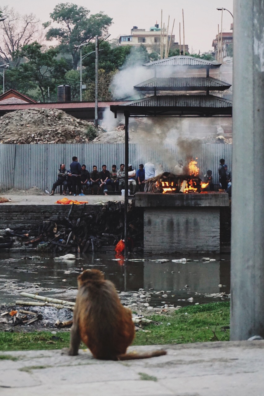  Cremation, Bagmati River ghats 