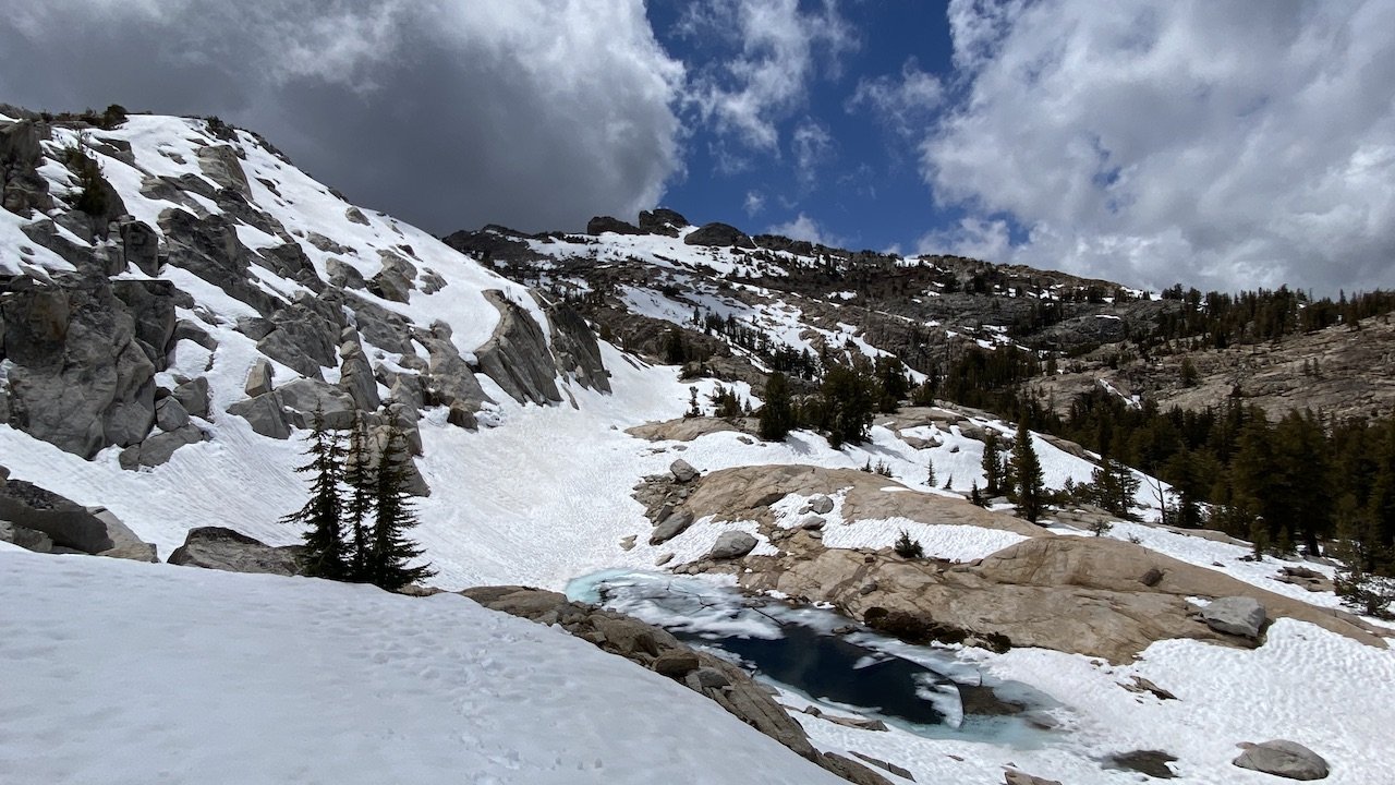  We could hear the croaking of yellow-legged frogs despite the frozen ground and water. 