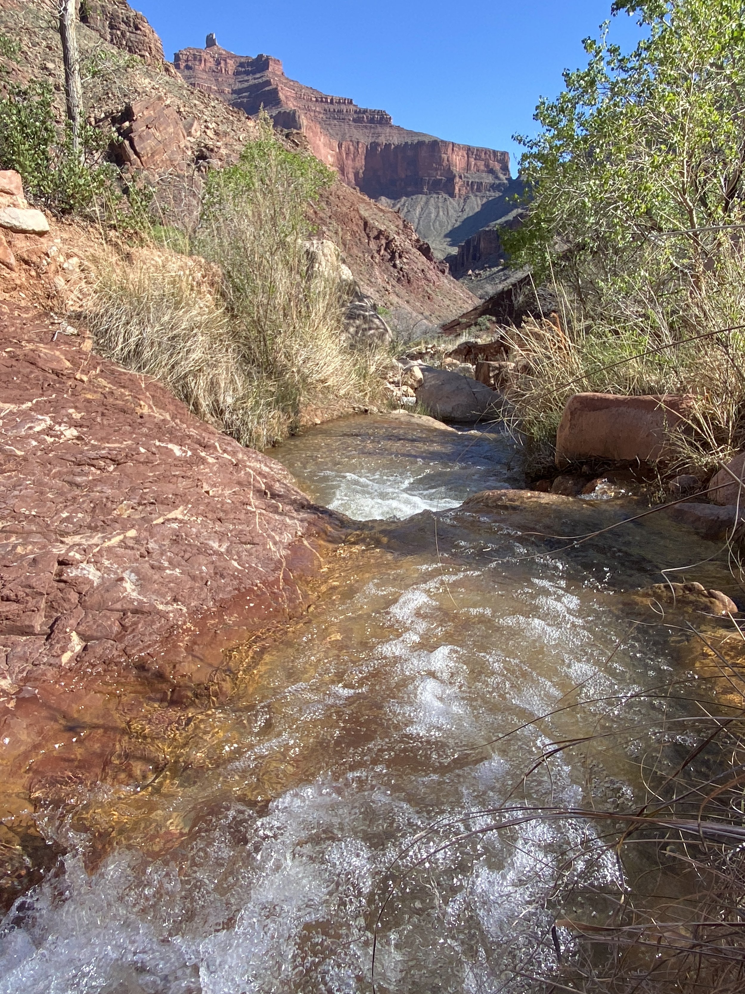 Clear Creek flowing clear when we arrived